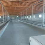 Satılır Torpaq Xaçmaz / Xudat 2