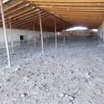 Satılır Torpaq Qobustan 2