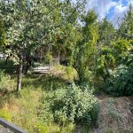 Satılır 7 otaqlı Həyət evi/villa Şamaxı 22