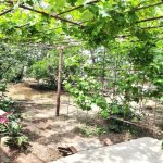 Продажа 5 комнат Дома/Виллы, м. Короглу метро, пос. Сабунчу, Сабунчу район 15