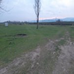 Satılır Torpaq Lənkəran 1