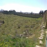 Satılır Torpaq, Novxanı, Abşeron rayonu 1