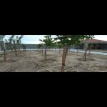 Kirayə (aylıq) 5 otaqlı Həyət evi/villa, Xəzər rayonu 17
