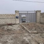 Kirayə (günlük) 1 otaqlı Bağ evi, Türkan, Xəzər rayonu 6