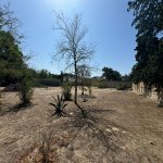 Satılır Torpaq, Şüvəlan, Xəzər rayonu 10