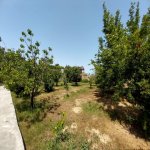 Satılır 7 otaqlı Bağ evi, Novxanı, Abşeron rayonu 15