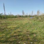 Satılır Torpaq Xaçmaz / Xudat 3