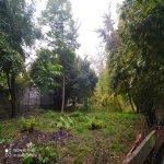 Satılır Torpaq Qəbələ 2