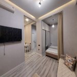 Kirayə (aylıq) 1 otaqlı Yeni Tikili, Nərimanov rayonu 5