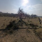 Satılır Torpaq, Kürdəxanı qəs., Sabunçu rayonu 5