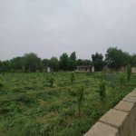 Satılır Torpaq Tərtər 1