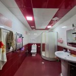 Kirayə (aylıq) 3 otaqlı Yeni Tikili, Gənclik metrosu, Nərimanov rayonu 15