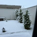 Kirayə (aylıq) 4 otaqlı Bağ evi, Pirşağı qəs., Sabunçu rayonu 8