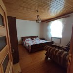 Kirayə (günlük) 4 otaqlı Həyət evi/villa Qəbələ 10