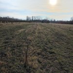 Satılır Torpaq Zaqatala 3