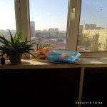 Satılır 3 otaqlı Köhnə Tikili, Xalqlar dostluğu metrosu, 8-ci kilometr, Nizami rayonu 6