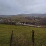 Satılır Torpaq Daşkəsən 9
