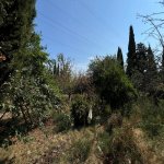 Продажа Участок, м. Ахмедли метро, пос. Старый Гуняшли, Хетаи район 12