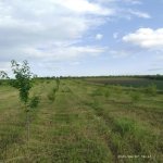 Продажа Участок Губа 2