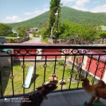 Kirayə (günlük) 5 otaqlı Həyət evi/villa Qəbələ 3