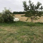 Satılır 3 otaqlı Həyət evi/villa Qəbələ 4
