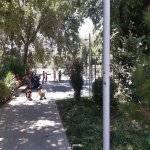 Kirayə (aylıq) 3 otaqlı Köhnə Tikili, Gənclik metrosu, Nərimanov rayonu 21