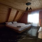 Kirayə (günlük) 4 otaqlı Həyət evi/villa Qəbələ 9