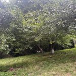 Satılır Torpaq Quba 3