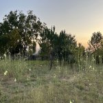 Satılır Torpaq İsmayıllı 9