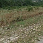 Satılır Torpaq Quba 2
