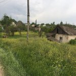 Satılır Torpaq Tovuz 4