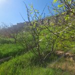 Satılır 9 otaqlı Həyət evi/villa, Xalqlar dostluğu metrosu, Nəsimi rayonu 19