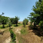 Satılır 7 otaqlı Bağ evi, Novxanı, Abşeron rayonu 24