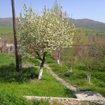 Satılır 2 otaqlı Həyət evi/villa İsmayıllı 3