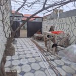 Продажа 2 комнат Дома/Виллы, м. Короглу метро, пос. Забрат, Сабунчу район 12