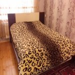 Kirayə (günlük) 4 otaqlı Həyət evi/villa Qəbələ 4