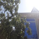 Satılır 6 otaqlı Bağ evi, Novxanı, Abşeron rayonu 12