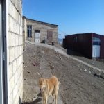 Satılır 10 otaqlı Həyət evi/villa Şamaxı 17