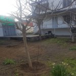 Satılır 8 otaqlı Həyət evi/villa, Qaraçuxur qəs., Suraxanı rayonu 25