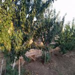 Satılır 6 otaqlı Həyət evi/villa, Mehdiabad, Abşeron rayonu 7