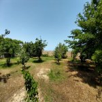 Satılır 7 otaqlı Bağ evi, Novxanı, Abşeron rayonu 24