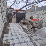 Satılır 2 otaqlı Həyət evi/villa, Koroğlu metrosu, Zabrat qəs., Sabunçu rayonu 12