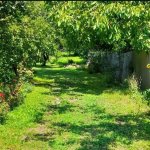 Kirayə (günlük) 4 otaqlı Həyət evi/villa Qax 10