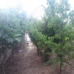 Kirayə (aylıq) 3 otaqlı Bağ evi, Şağan, Xəzər rayonu 10