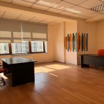 Kirayə (aylıq) 6 otaqlı Ofis, Sahil metrosu, Nəsimi rayonu 13