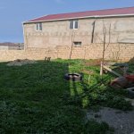 Satılır Torpaq, Saray, Abşeron rayonu 2