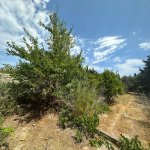Satılır Torpaq, Bilgəh qəs., Sabunçu rayonu 5