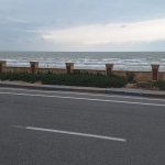 Satılır Torpaq, Novxanı, Abşeron rayonu 5