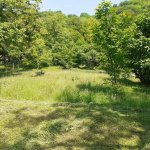 Satılır Torpaq Qəbələ 2