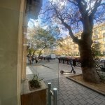 Kirayə (aylıq) Obyekt, 28 May metrosu, Nəsimi rayonu 8